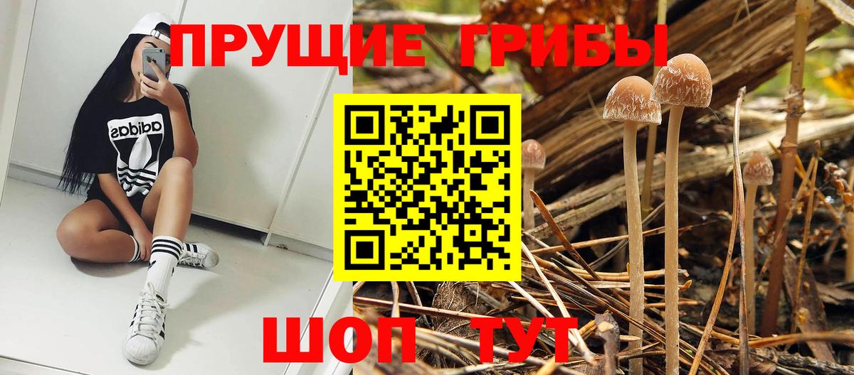 Псилоцибиновые грибы Magic Shrooms Рассказово